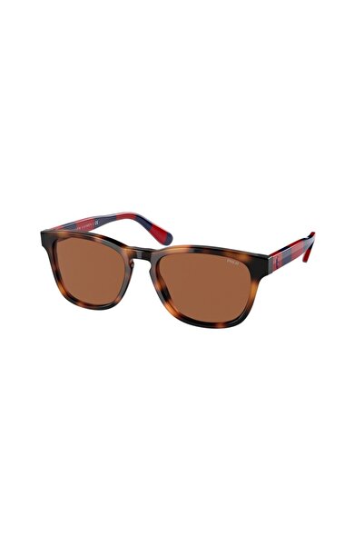 Ralph Lauren Ανδρικά Γυαλιά Ηλίου PH4170-530373 (Φακός/Γέφυρα/Βραχίονας) 53/1...