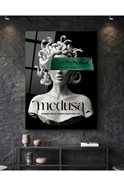 FavloArt Medusa Pleksi Tablo – Modern ve Sanatsal Duvar Dekoru