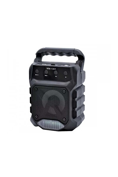 ALIEN Boxă portabilă BT/USB/TF/FM WM-1301