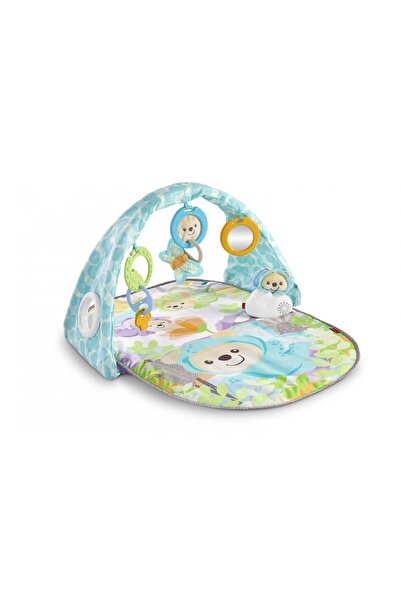 mattel Fisher-Price Μουσικό Γυμναστήριο Αρκουδάκια DYW46