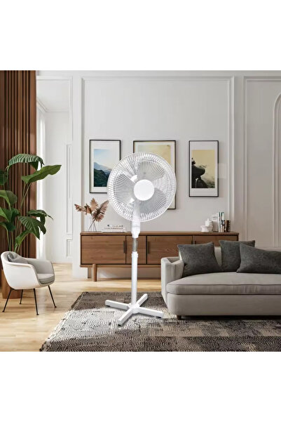 FOXMAG24 Ventilator pe picior de 16 inch, echipat cu trei pale și o grilă de ...