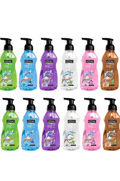 Loyal Antibacterial Foaming Hand And Body Wash 500ml Pack Of 12
