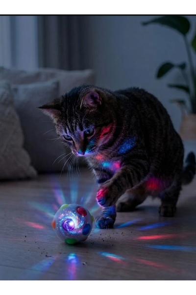 Parmend Life Darbeye duyarlı ışıklı kedi topu