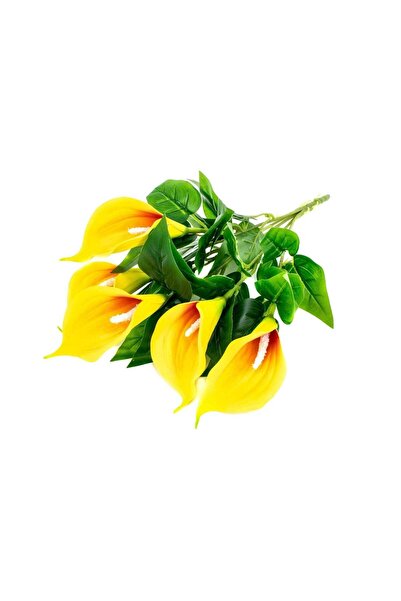 OEM Buchet 7 Cale Galben cu Rosu