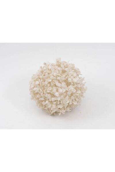 OEM Sfere Frunze Artificiale Bucsus 18cm Alb