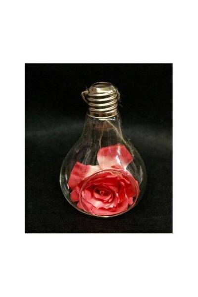 OEM Glass Globe Bulb Shape H18cm