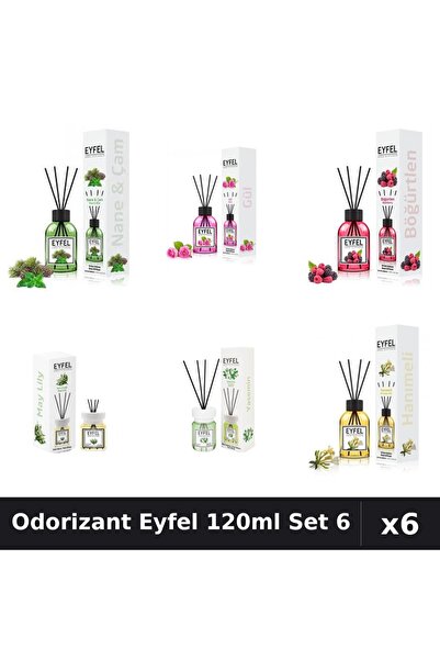 Eyfel Set 6 Odorizante Camera Betisoare 120ml - 6 Arome Asortate, Parfum Intens