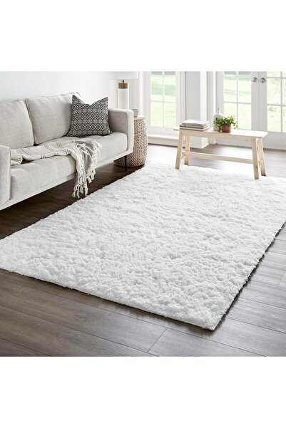 HI-FINE (in76)Area Rugs for Bedroom Living Room, Fluffy Fuzzy Shag Shaggy Sof...