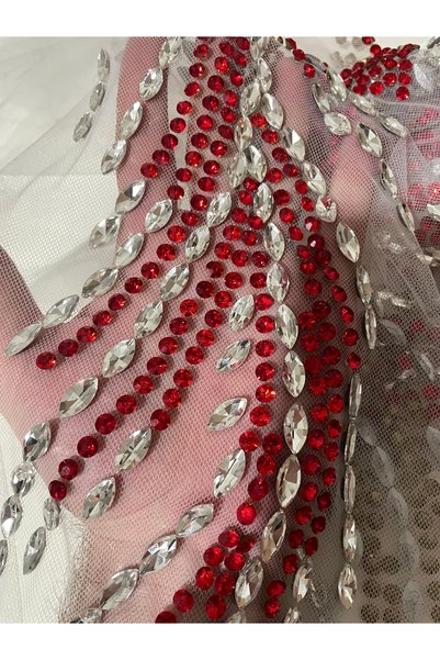 Ornaments Red Silver Crystal Stone Embroidered Wing Pattern Evening Dress Applique (Pair)