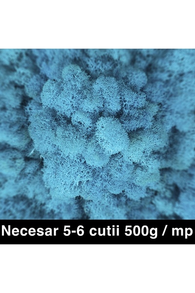 Roberto Rossi Licheni curatati si fara radacina conservati 500g NET, calitate...