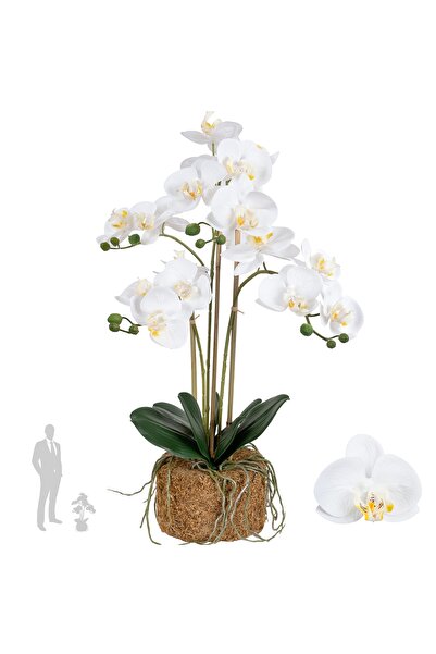 Roberto Rossi Orhidee artificiala alba cu aspect H61 cm cu 3 tulpini si 4 ram...