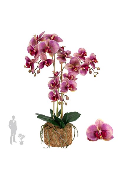 Roberto Rossi Orhidee artificiala mov cu galben cu aspect H64 cm cu 3 tulpini