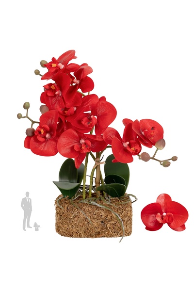 Roberto Rossi Orhidee artificiala rosie cu aspect H35 cm cu 3 tulpini