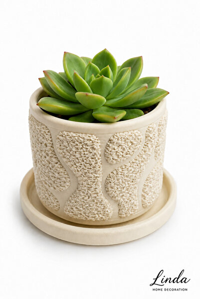 Linda Home Decoration Sukulent Mini Bitki Saksı Coralia - Sukulent Dahil Deği...