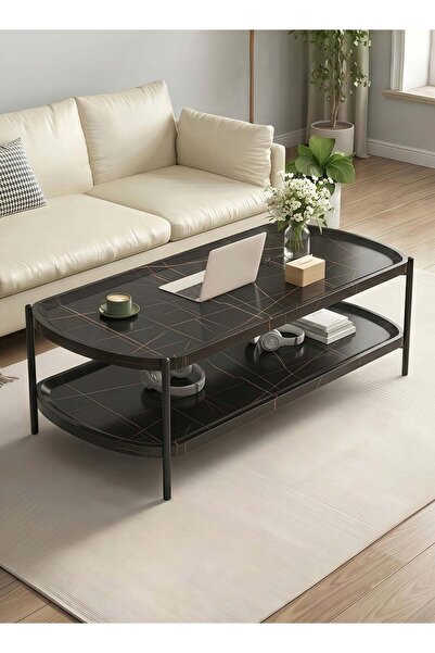 Taimi 2-Tier Wooden Coffee Table with Metal Legs, Modern Center Table, Black,...