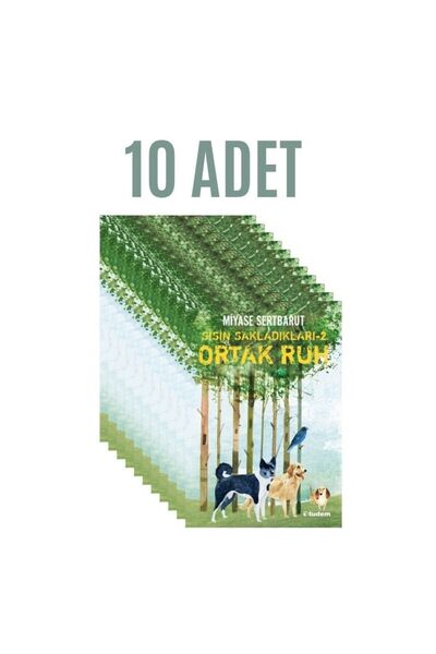 Tudem Yayınları SİSİN SAKLADIKLARI 2 -ORTAK RUH 10 ADET