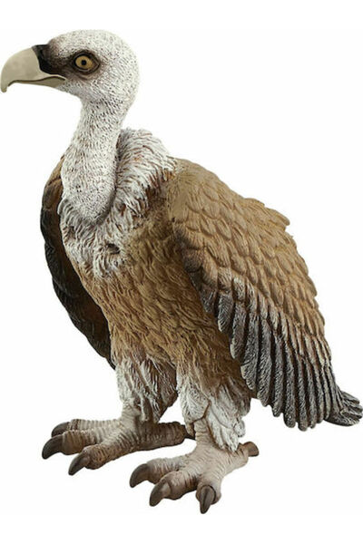 SCHLEICH S Κοράκι Για 3+ Χρόνια 3.81εκ.