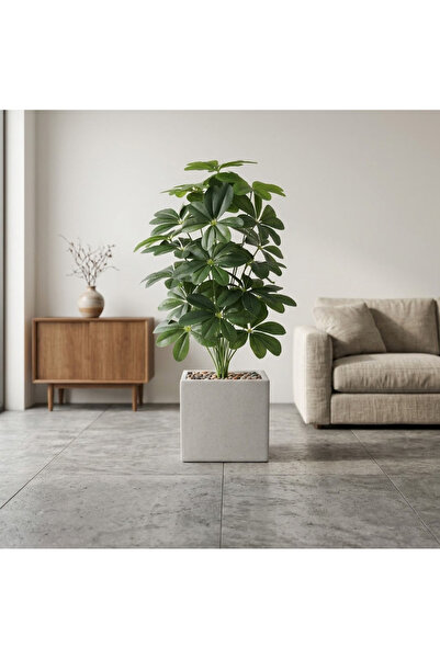 co arma Artificial Mango Tree in Square Pot, Green, 110cm, Suitable for Indoo...