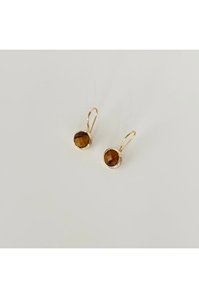 Vesce Atelier Gold Color Natural Stone Earrings with Tiger's Eye