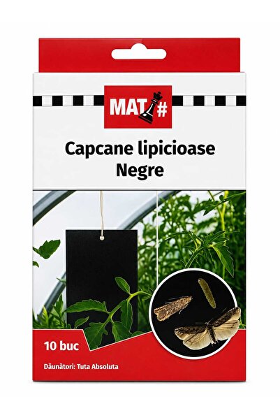 Mat 🖤 Capcane Lipicioase Negre pentru Tuta Absoluta – Set 10 bucăți