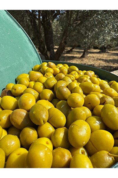 Yõremden gıda Yöremden 1 Kg yeşil köy kırma