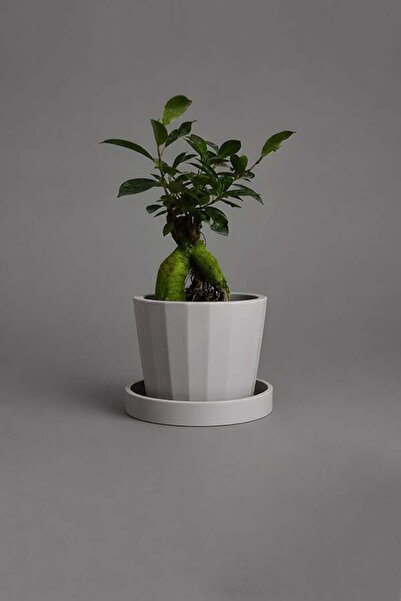 VASODEK Dekoratif Beton Saksı V-125-AÇİK GRİ