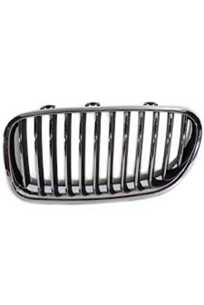 RapidAuto Grila radiator Bmw Seria 5 (F10/F11), 12.2009-, stanga, crom/crom/n...