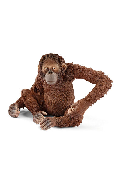 Generic Brand Orangutană