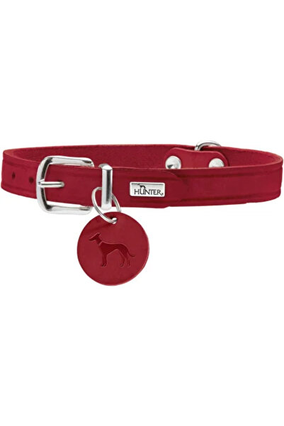 Hunter Zgardă de câine din piele Aalborg, Mărimea S, 42 cm