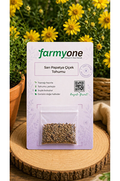farmyone Sarı Papatya Çiçek Tohumu 100 Adet