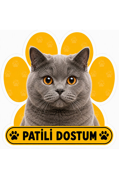 Parti Tasarla Pawed Friend British Shorthair Cat Sticker |   20X15 cm Self-Ad...