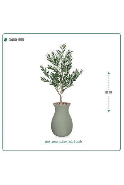 OEMS شجرة زيتون اصطناعية حوض فيبر { ارتفاع 160 سم }