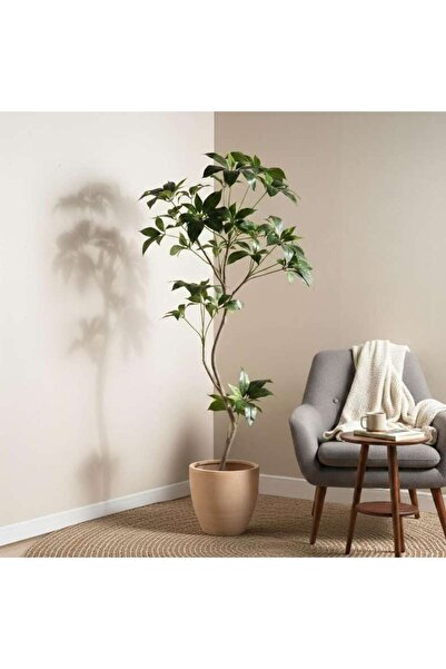PAN HOME Schefflera Artificial Tree H180cm - Green