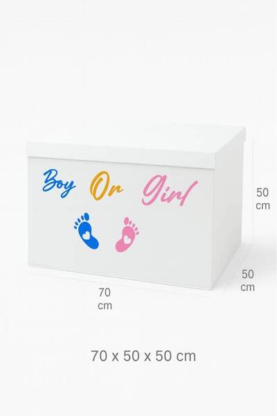 OEMS Large Gender Reveal Box