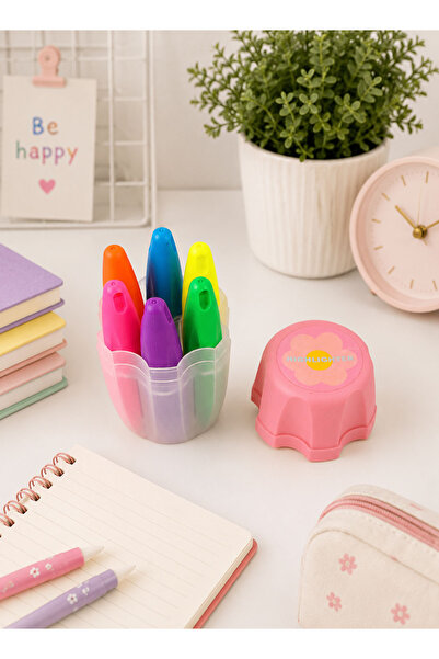 Midi Colored Highlighter Pen Set with Stylish Case