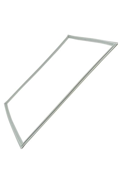OEM Garnitura usa frigider pentru aparate frigorifice C00899670 Beko 4669521000