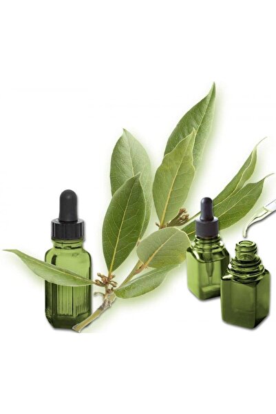 MEDIPLANTS Αιθέριο Έλαιο Δάφνη 50ml
