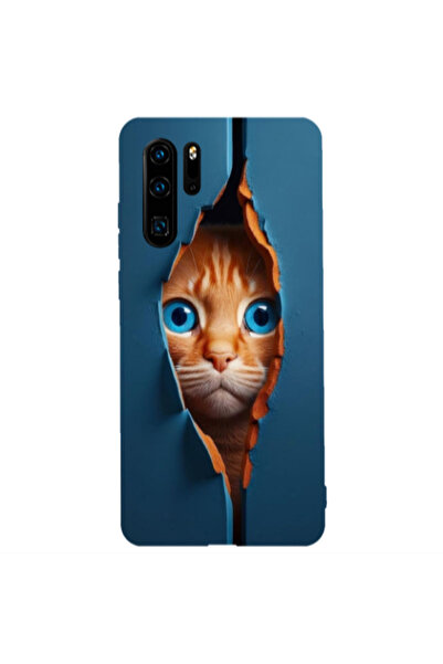 Other Huawei P30 Pro Cat Blue Eyes Transparent Silicone TPU Θήκη