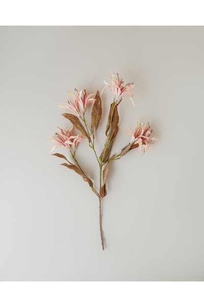 English Home Bauhinia Plastik Tek Dal Yapay Çiçek 84 cm Açık Somon