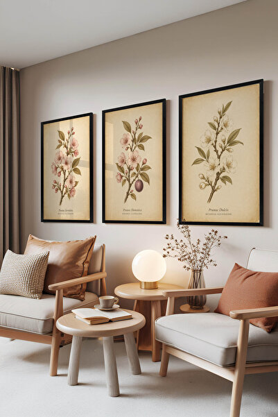 Zestia Set de 3 tablouri cu ramă neagră, ilustrație botanică elegantă cu flor...
