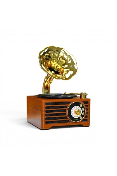 ROYALTREND Mini Nostaljik Gramafon Radyo,Şık Tasarım Gramafon Nostalji Radyo