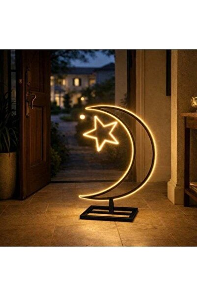 HOME TASTE Moon LED Floor Lamp with Star Design, Warm White Strip Light, Dura...