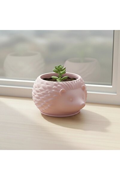 OEM Mini Ghiveci Decorativ Arici Imprimat 3D, Suport Plante Mici