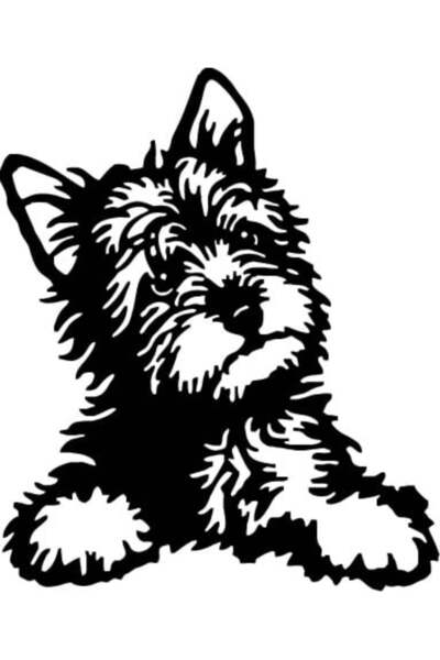 Amo-Stickers Стикер за кола Кученце бишон 25см Черен