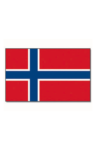 Mil-Tec Steag Norvegia