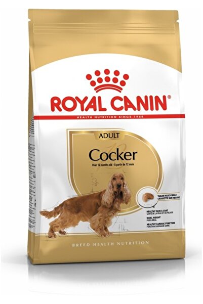 Royal Canin Bhn Cocker Adult Yetişkin Köpek Maması 3 kg CS600065