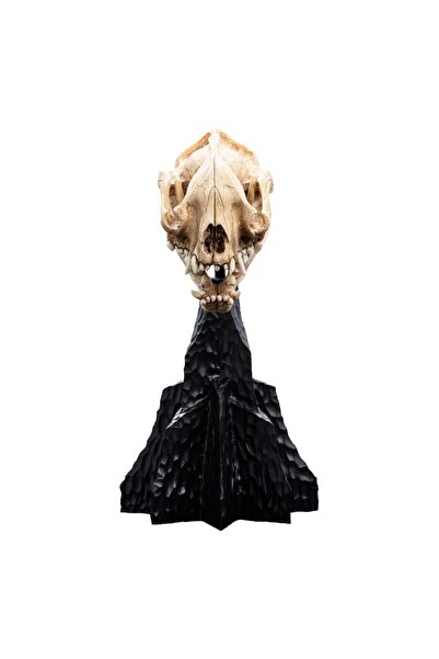 OEM Figurina Miniatura Capcaun Warga, Weta Workshop, 16x20,5x10,5cm, Multicolor