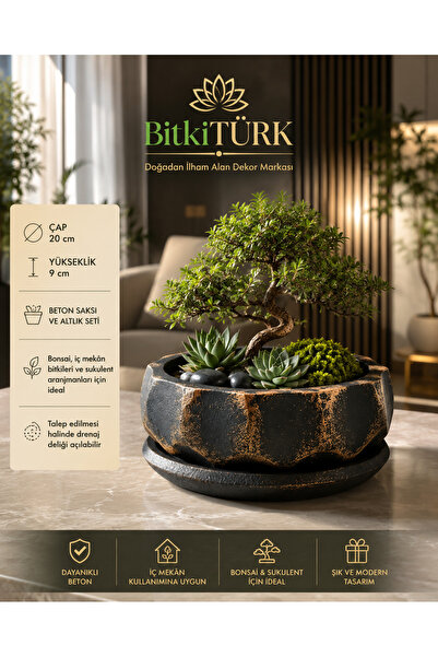 BitkiTÜRK Dekoratif Beton Saksı ve Altlık Seti 20 cm | Bonsai, Zeytin Ağacı, ...