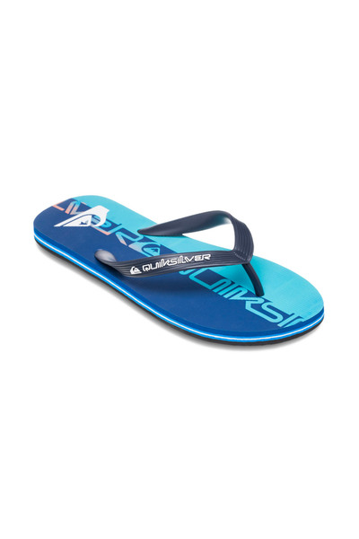 Quiksilver MOLOKAI ART 25 AQYL101430-BQV8 Μπλε 46