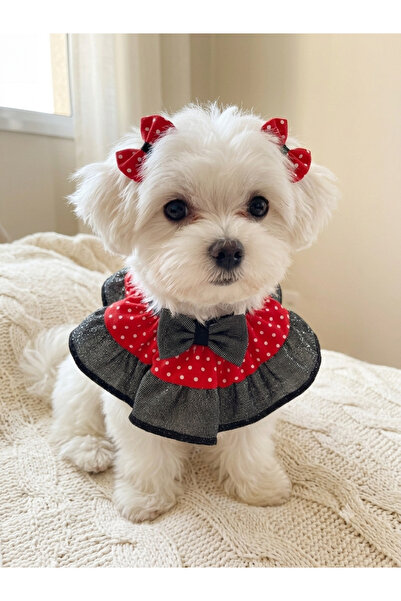 Köpek YAKALIK Tasma BOYUNLUK & SEVİMLİ TOKA